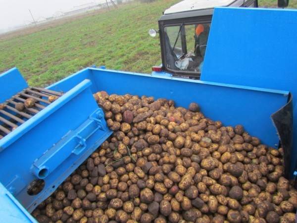 Однорядный картофелеуборочный комбайн - большое изображение 3